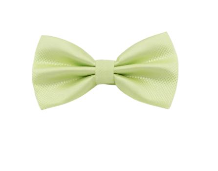 Light GreenTextured Bow Tie