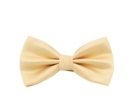 Light Champagne Textured Bow Tie